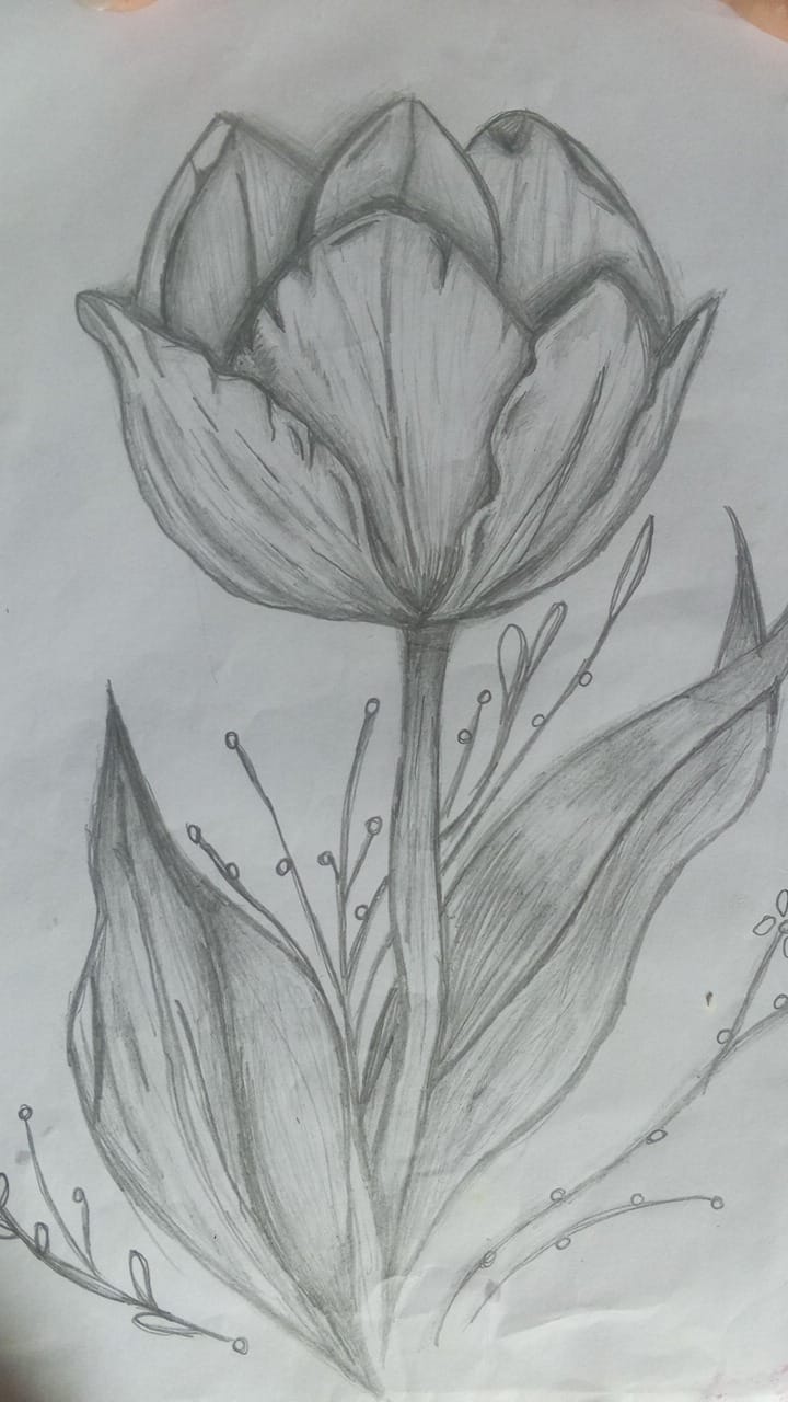 Dibujo de Dailyn Pico