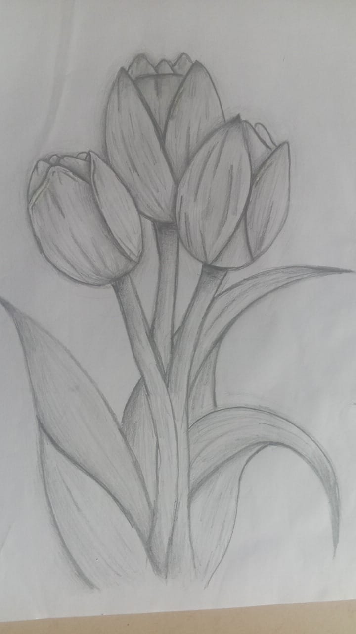 Dibujo de Dailyn Pico 2